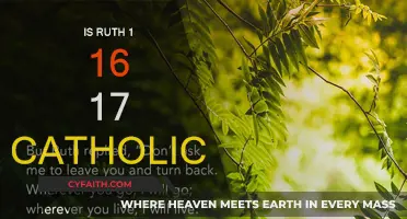 Catholics and the Book of Ruth: Verses 16 and 17
