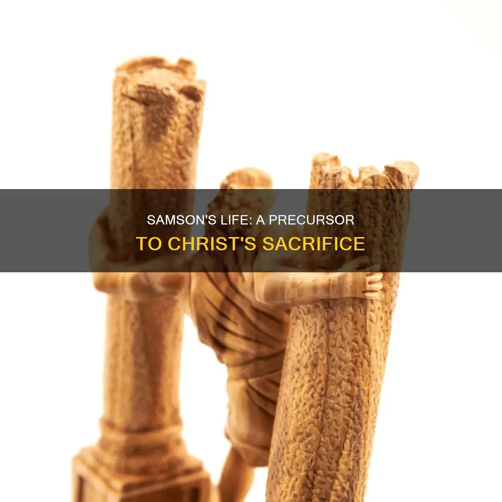 is samson a type of christ catholic perspective
