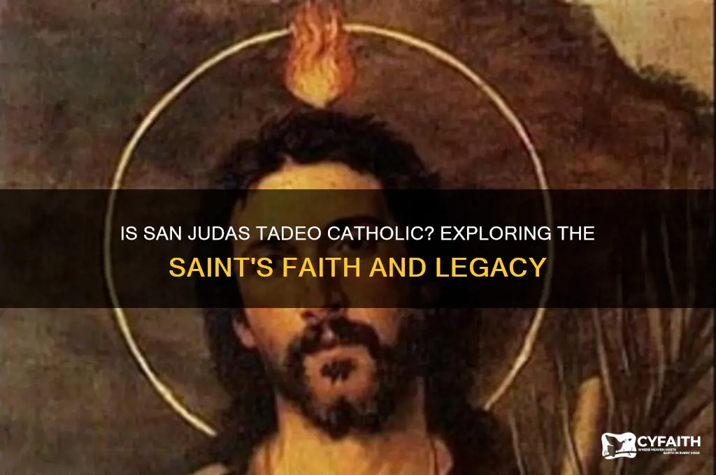 is san judas tadeo catholic