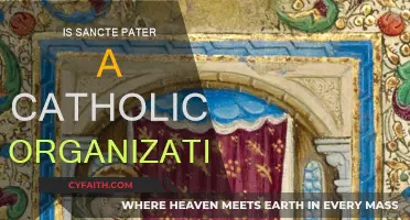 Sancte Pater: Catholic Organization or Not?