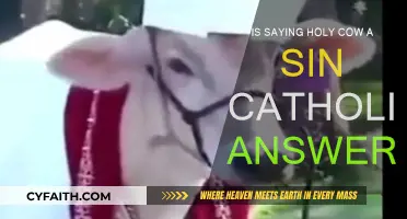 Holy Cow: Catholic Sin or Not?