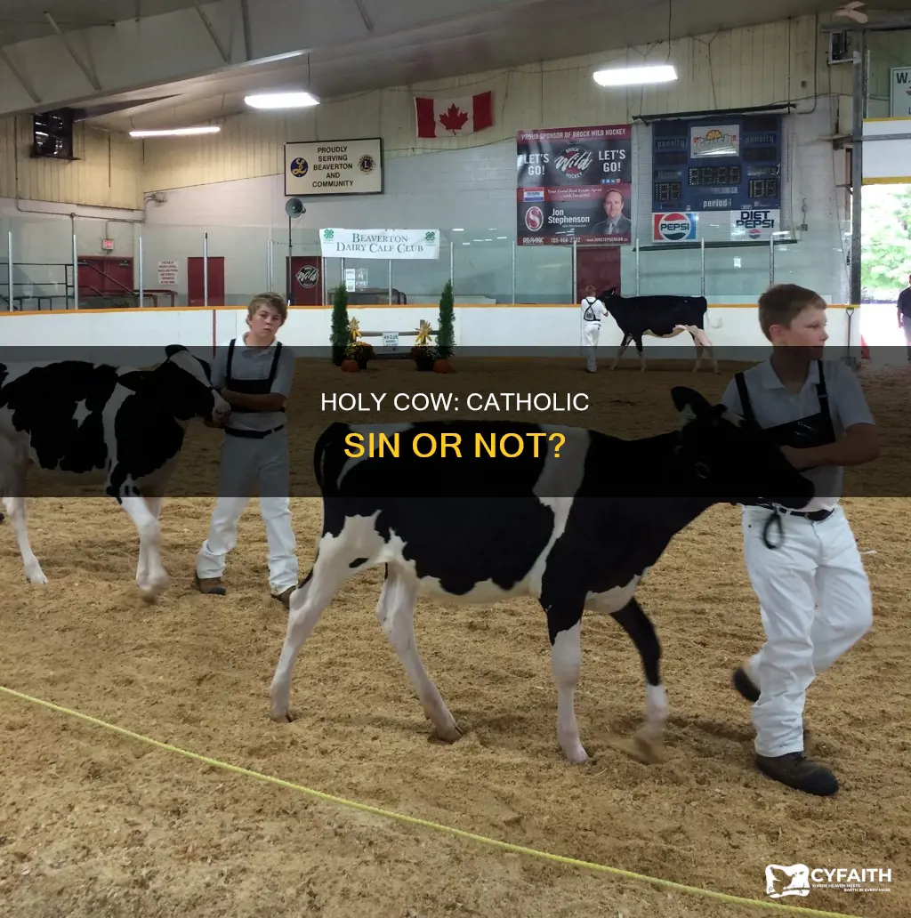 is saying holy cow a sin catholic answers