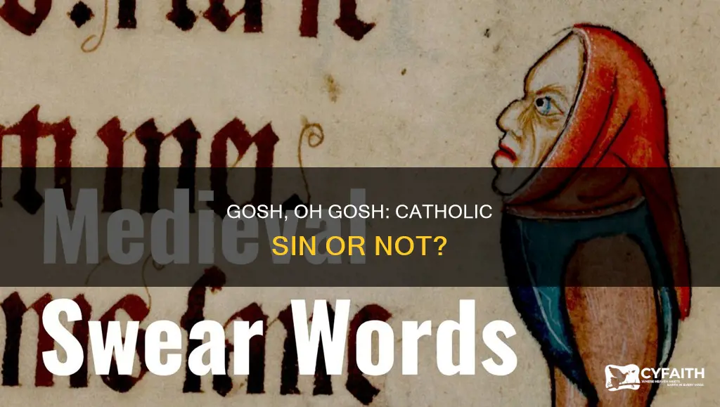 is saying oh my gosh a sin catholic