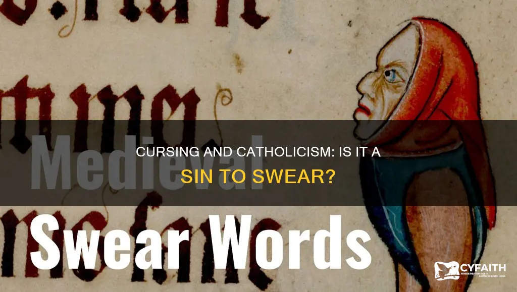 is saying the f word a sin catholic