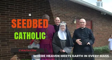 Is Seedbed Catholic? Exploring Its Theological and Denominational Roots
