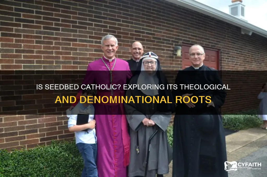 is seedbed catholic