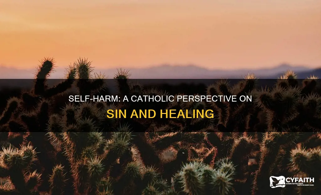 is self harm a sin catholic answers