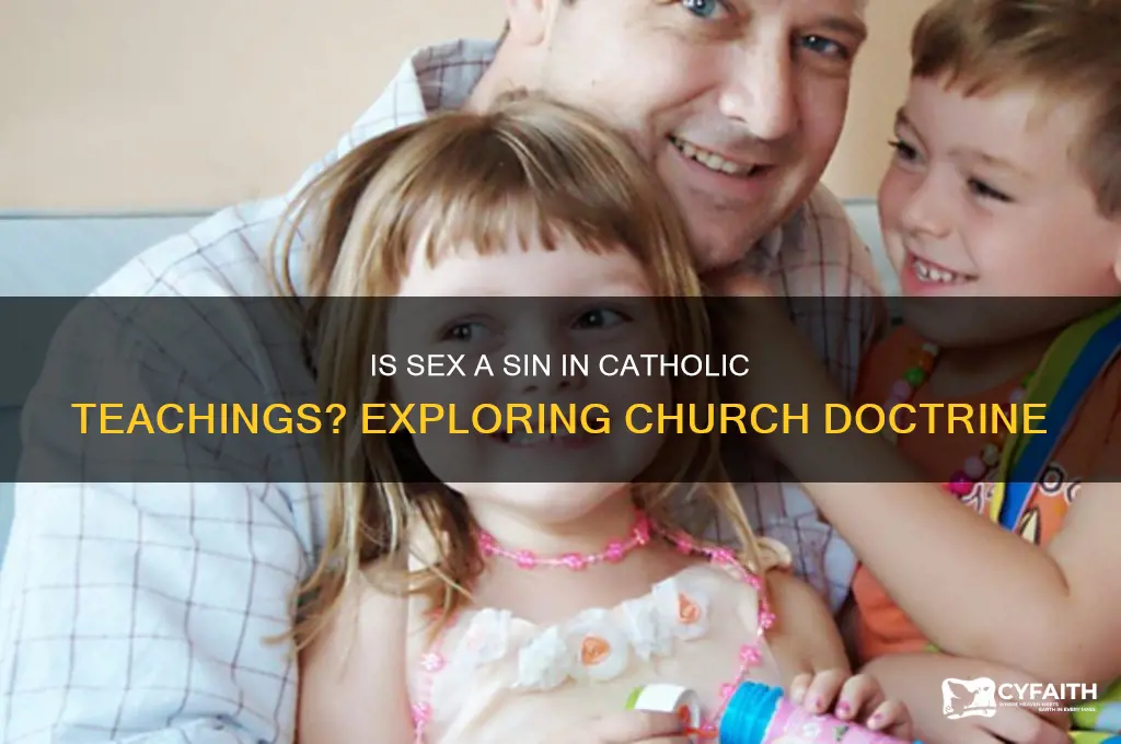 is sex a sin catholic