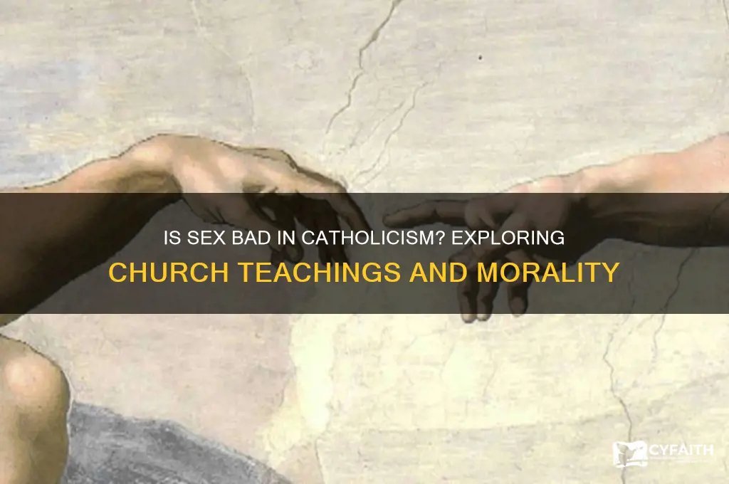 is sex bad catholic