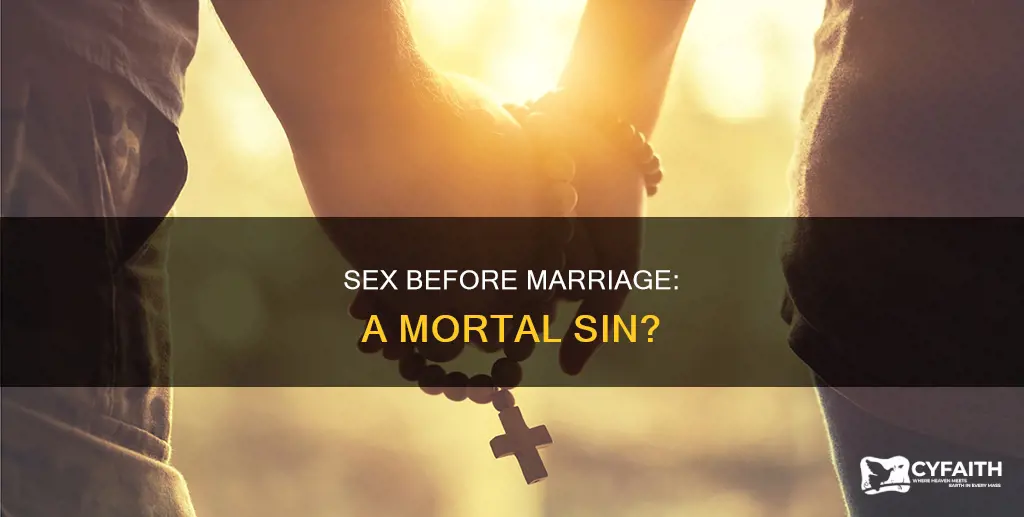 is sex before marriage a mortal sin catholic