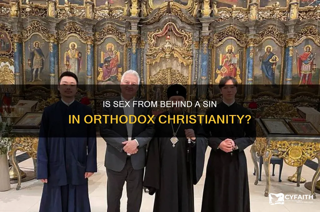 is sex from behind a sin orthodox