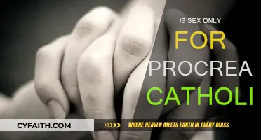 Sex and Procreation: Catholic Conundrum