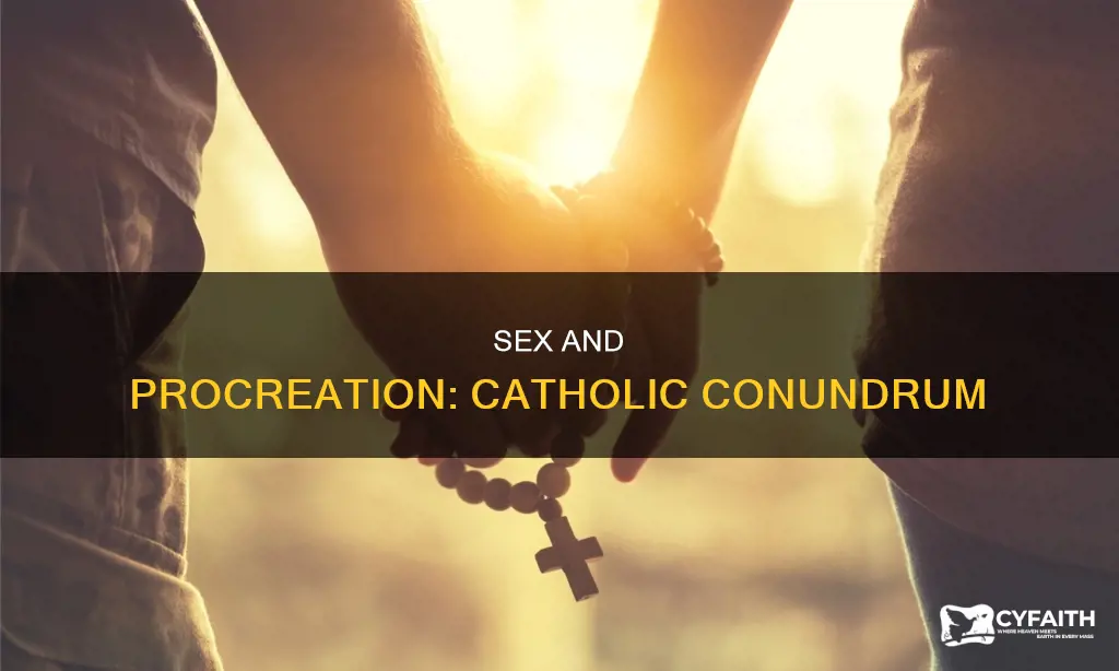 is sex only for procreation catholic