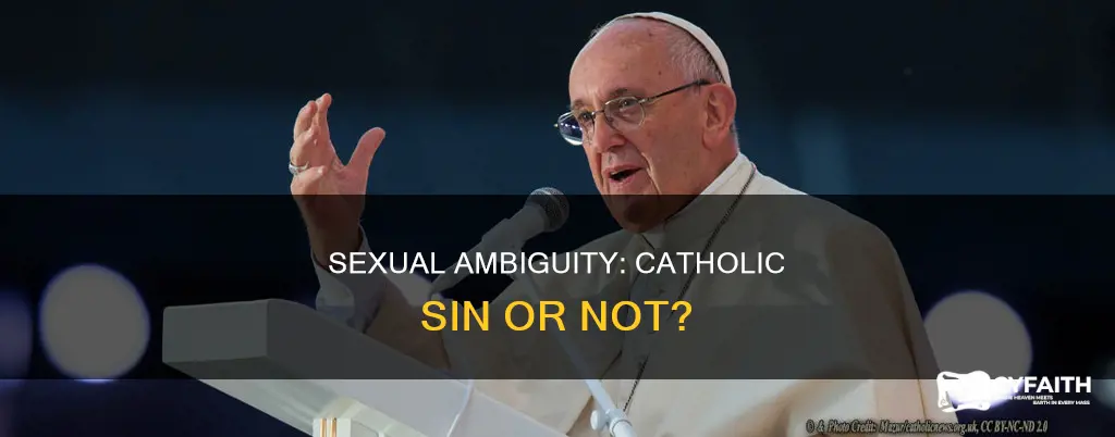 is sexual ambiguity a sin catholic