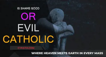 Shame: Friend or Foe in Catholic Teachings?
