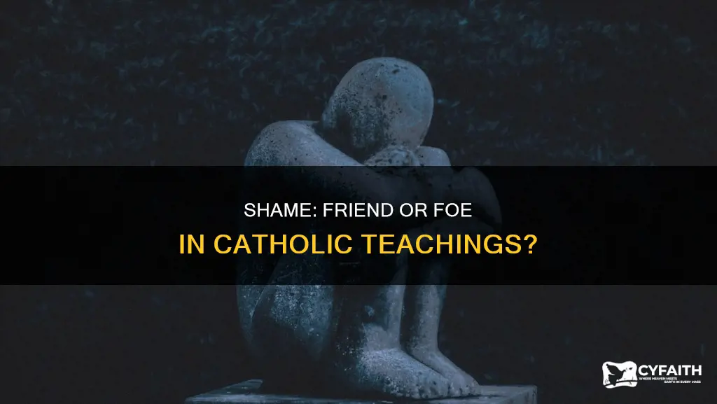 is shame good or evil catholic