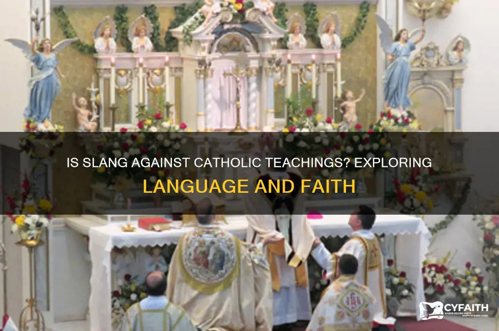 is slang against catholic religion