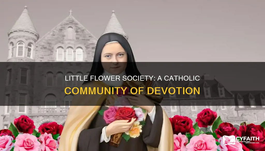 is society of the little flower catholic