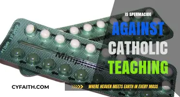Is Spermicide Compatible with Catholic Moral Teachings?