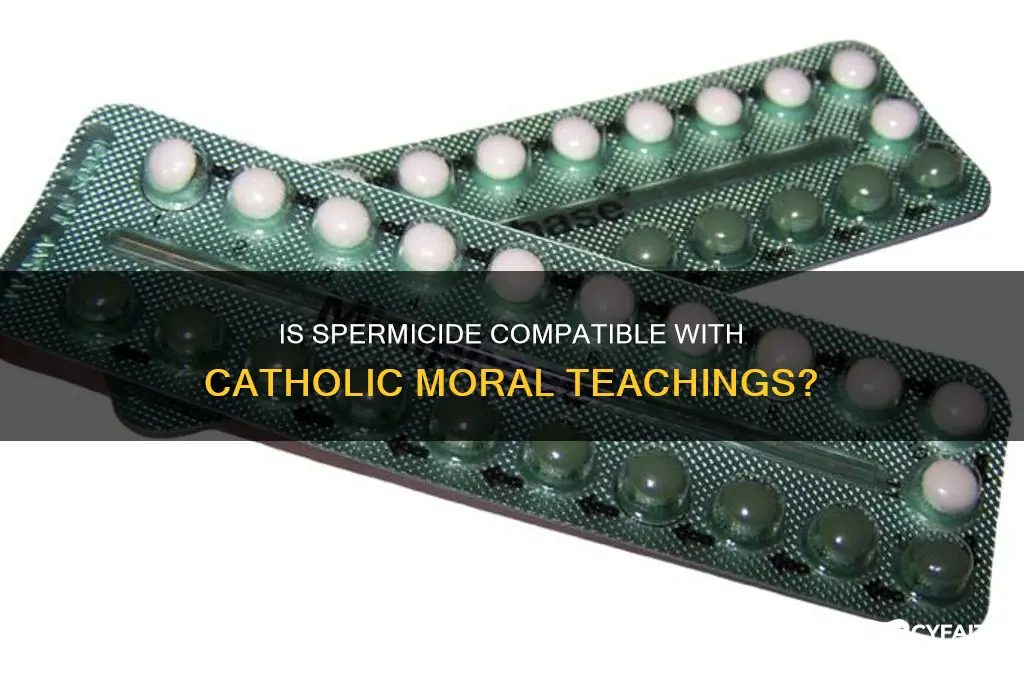 is spermacide against catholic teaching