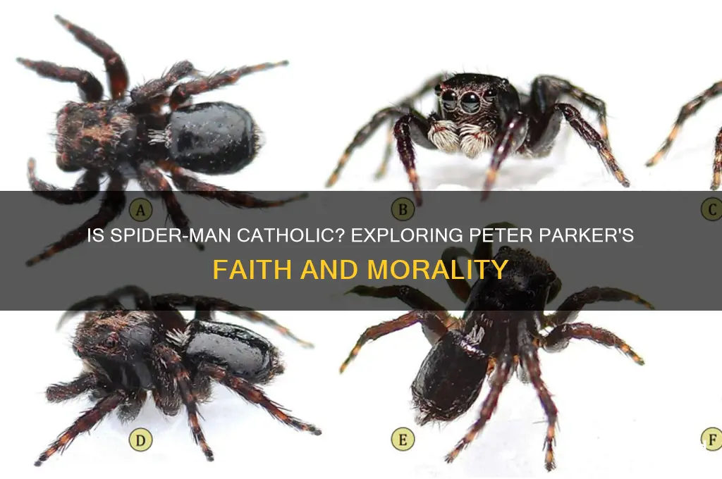 is spider man catholic