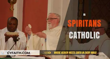 Are Spiritans Catholic? Exploring the Congregation's Faith and Identity