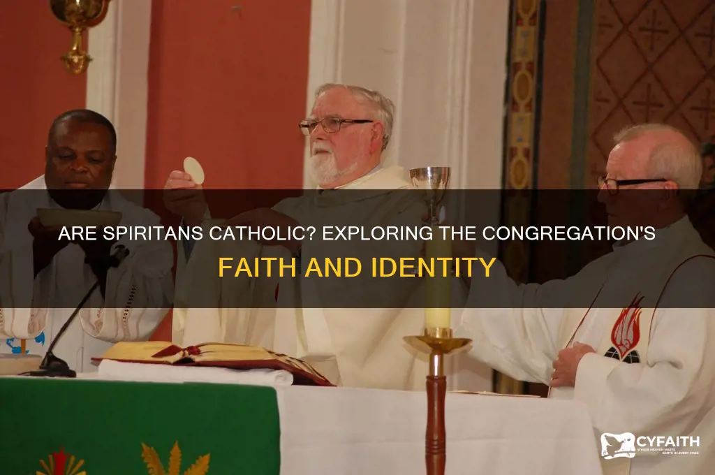is spiritans catholic