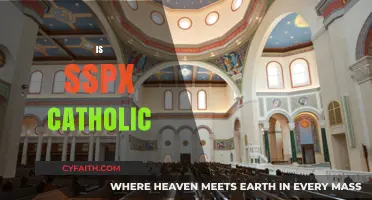 Is SSPX Truly Catholic? Exploring the Society's Canonical Status