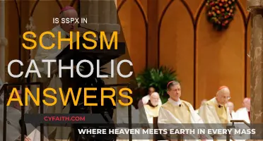 Answers on SSPX: In or Out of Schism?