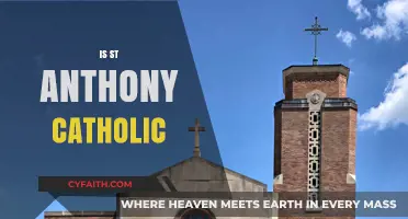 Is St. Anthony Catholic? Exploring the Patron Saint's Faith and Legacy