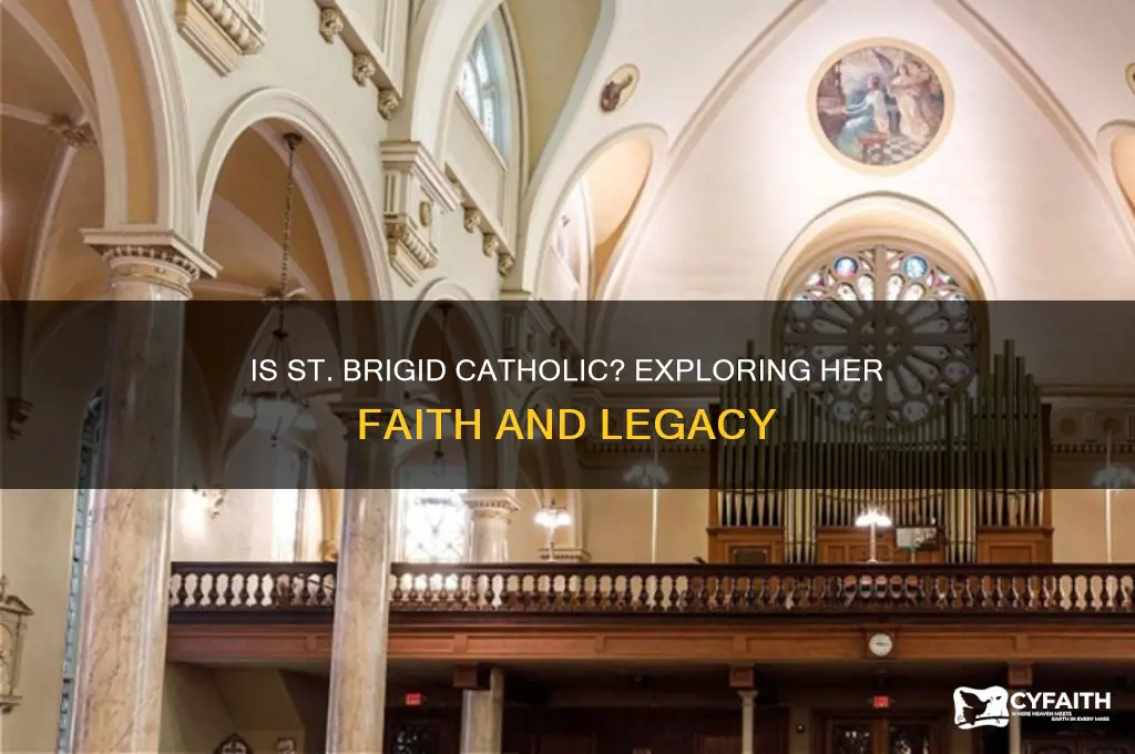 is st brigid catholic