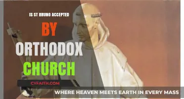 Is St. Bruno Recognized and Accepted by the Orthodox Church?