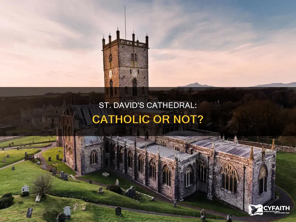 is st david