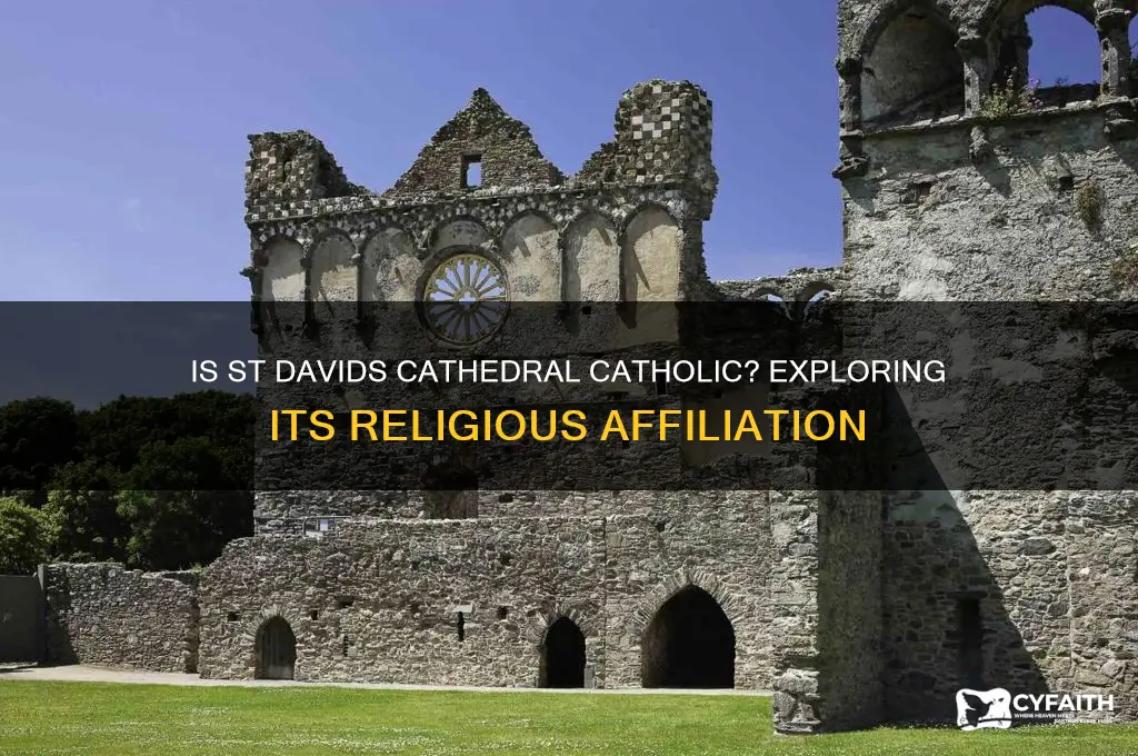 is st davids cathedral catholic