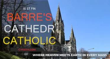 Exploring St. Fin Barre's Cathedral: A Catholic Legacy