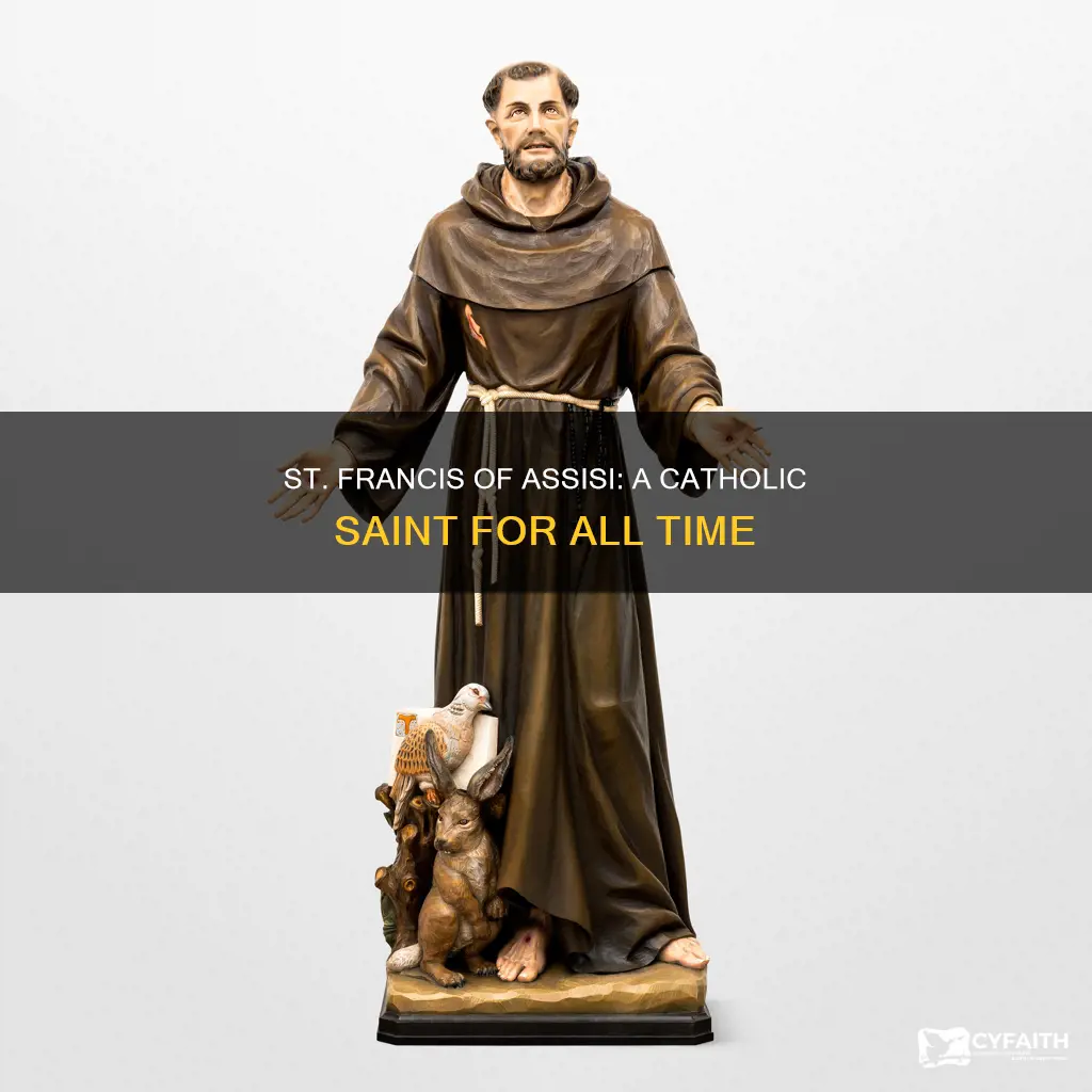 is st francis of assisi catholic