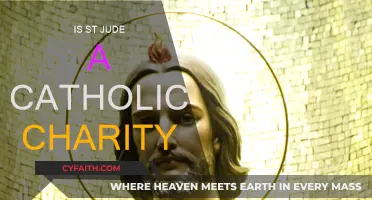 St. Jude: Catholic Charity or Not?