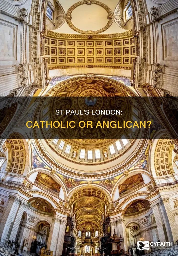 is st paul