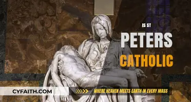 Is St. Peter's Basilica Catholic? Exploring the Vatican's Iconic Church