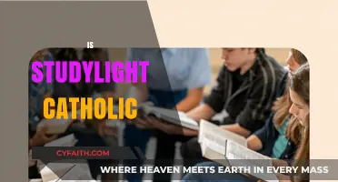 Is StudyLight Catholic? Exploring Its Faith-Based Resources and Alignment