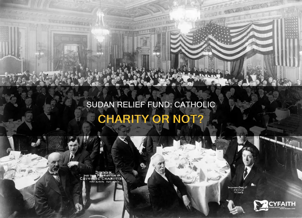 is sudan relief fund a catholic charity