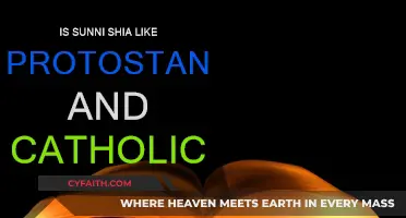 Shia-Sunni and Catholic-Protestant: What's the Difference?