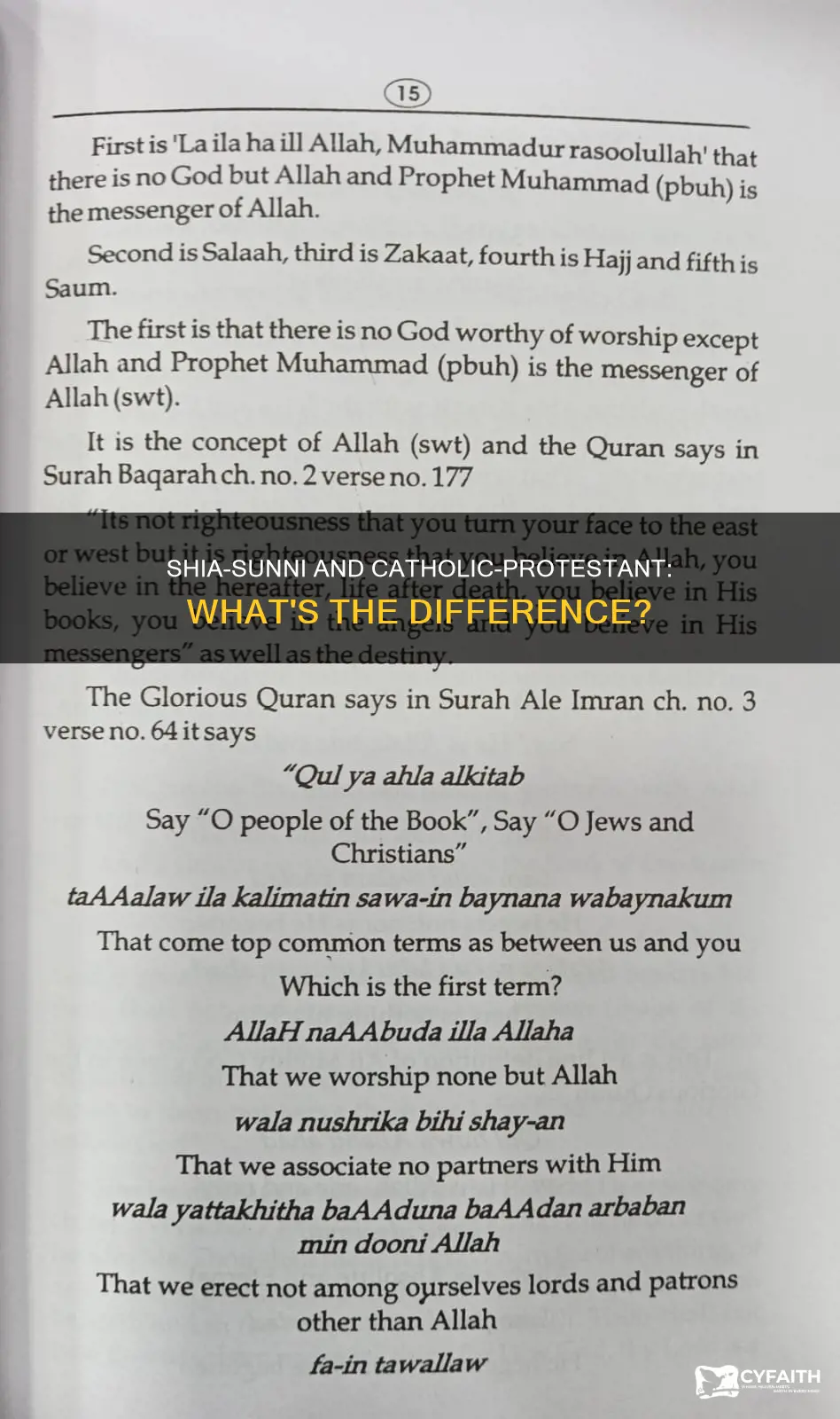 is sunni shia like protostant and catholic