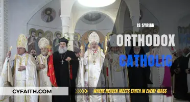 Understanding the Syrian Orthodox Church: Catholic Connections Explained