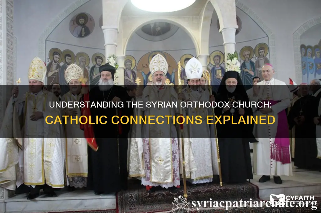 is syrian orthodox catholic