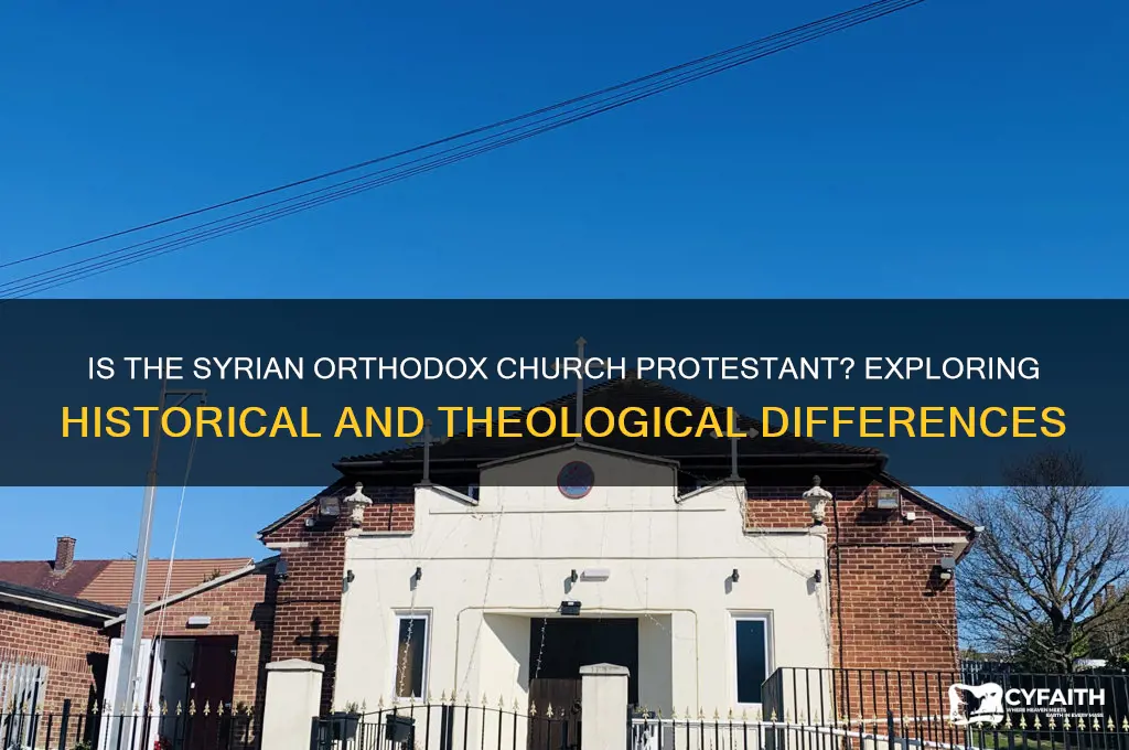 is syrian orthodox church protestant