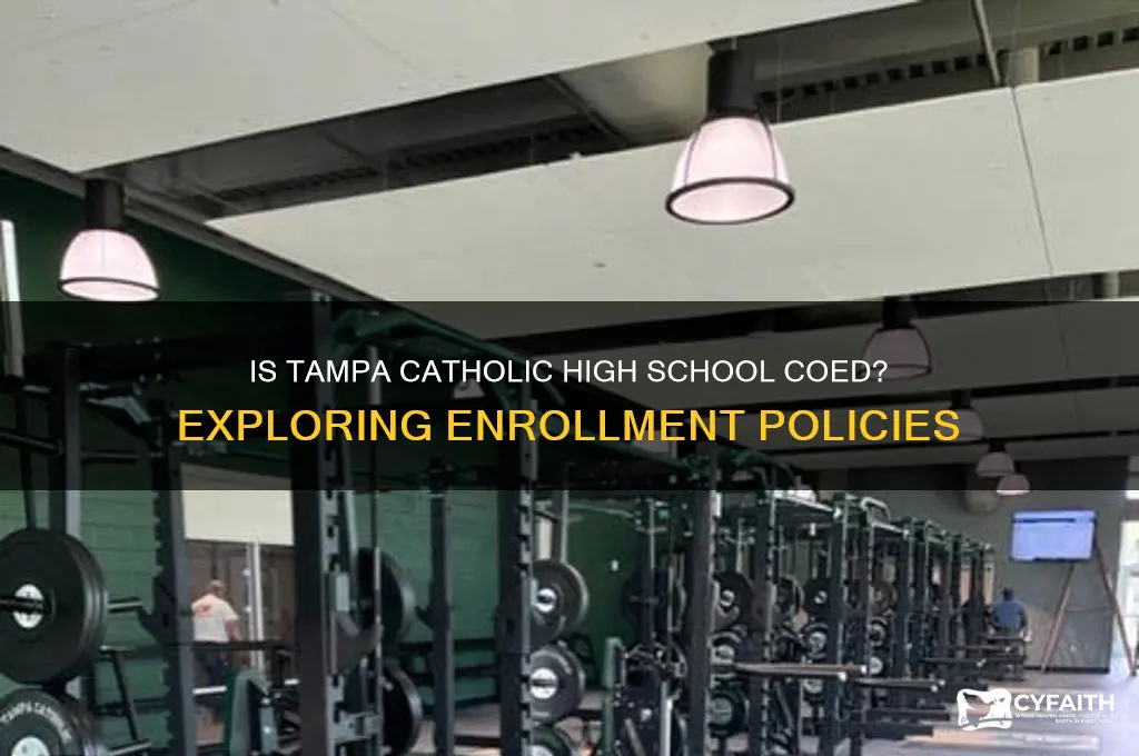 is tampa catholic coed