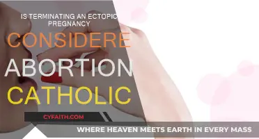 Ectopic Pregnancy Termination: Abortion or Not?