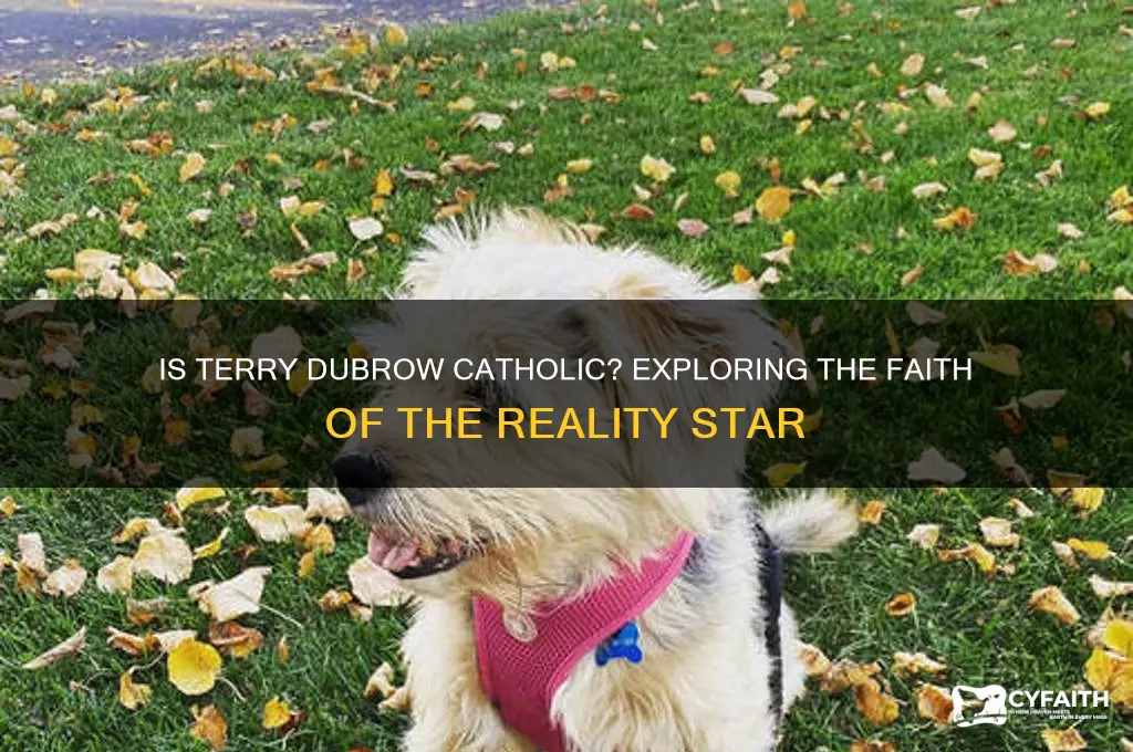 is terry dubrow catholic