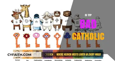 Is TFP Bad for Catholic Values? A Critical Analysis